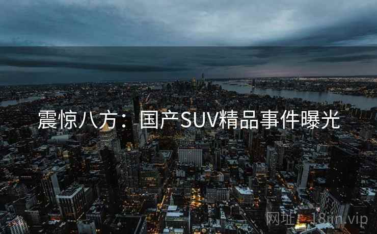 震惊八方：国产SUV精品事件曝光